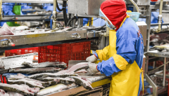 建立起“监管部分